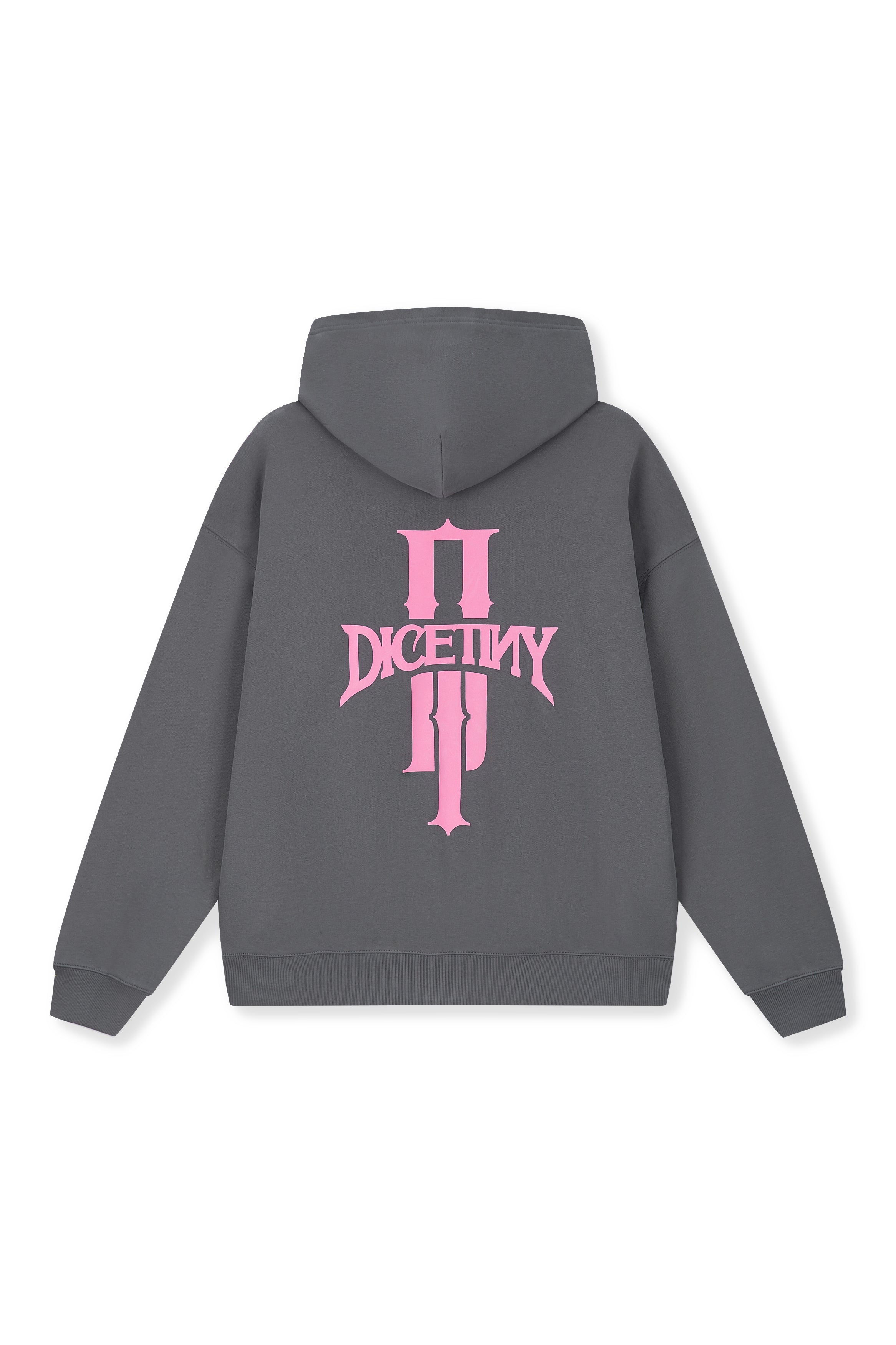 DICETINY Basic Logo Printed Hoodie