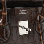 Shiny Porosus Crocodile Birkin 35 Havane