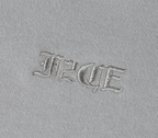 F2CE Embroidered LOGO Basic Pullover Sweatshirts