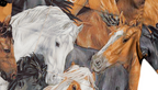 PRBLMS Fun Horse Galloping Short Sleeved Shirt