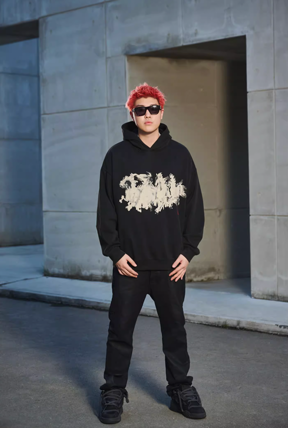 DICETINY Horse Print Washed Hoodie