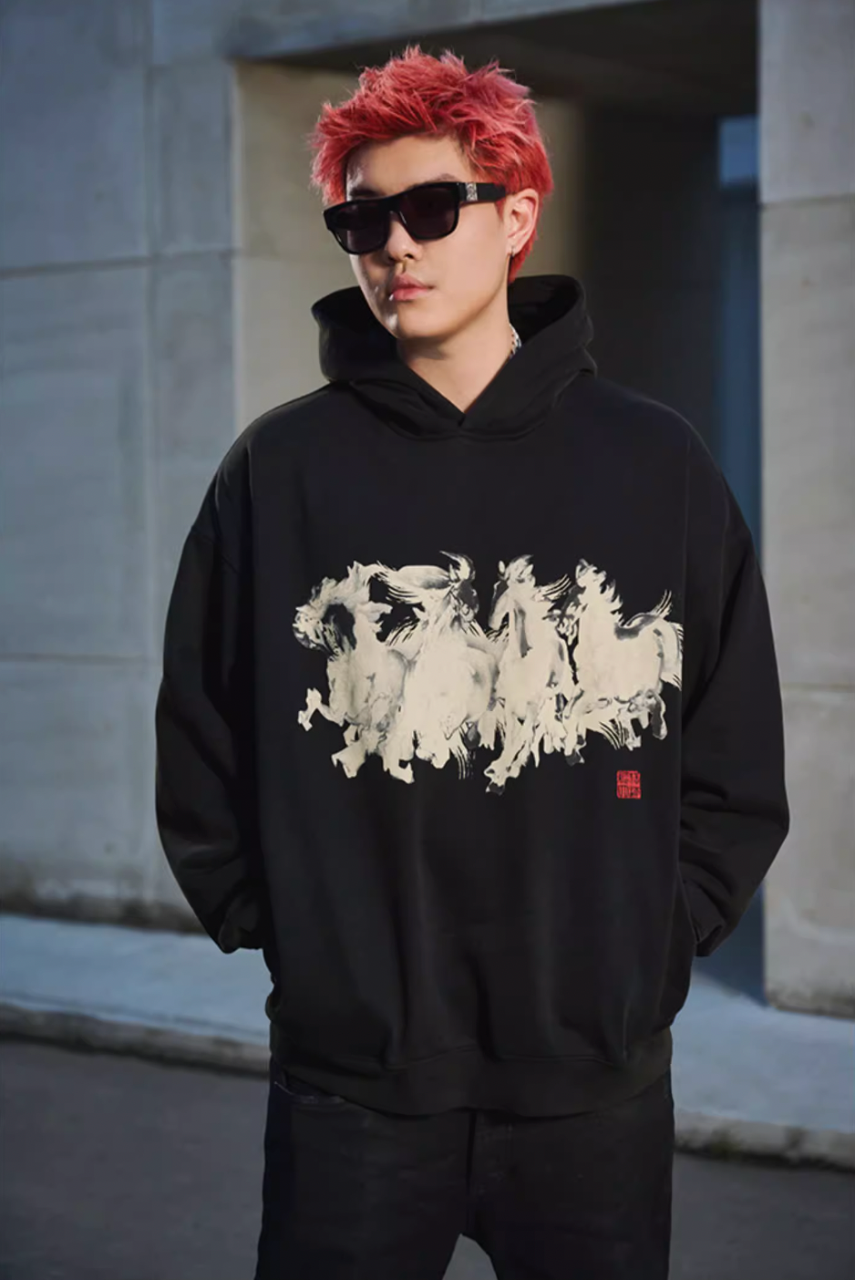 DICETINY Horse Print Washed Hoodie