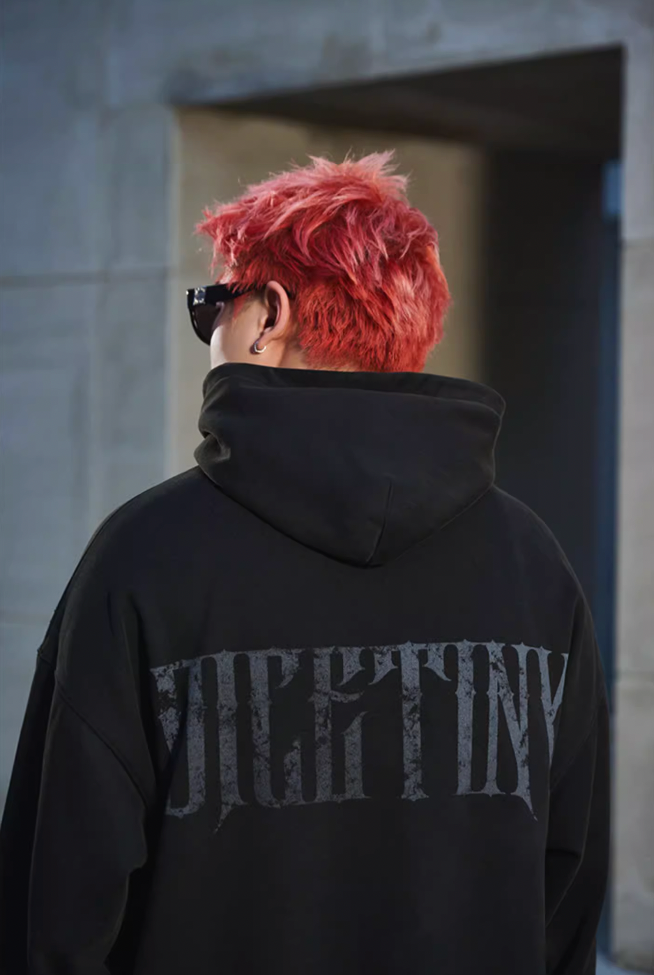 DICETINY Horse Print Washed Hoodie