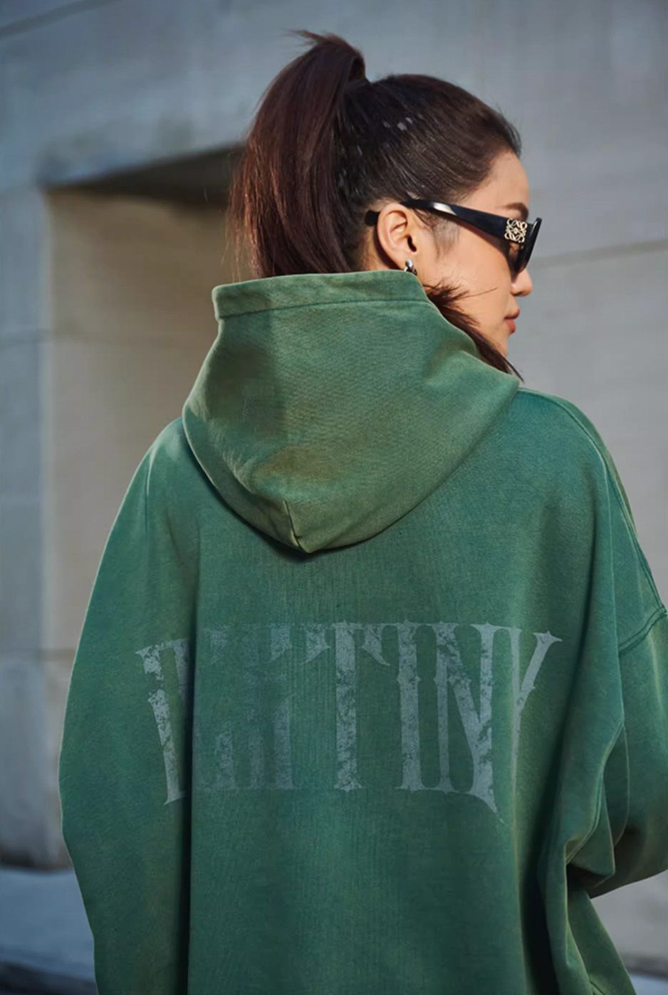 DICETINY Horse Print Washed Hoodie