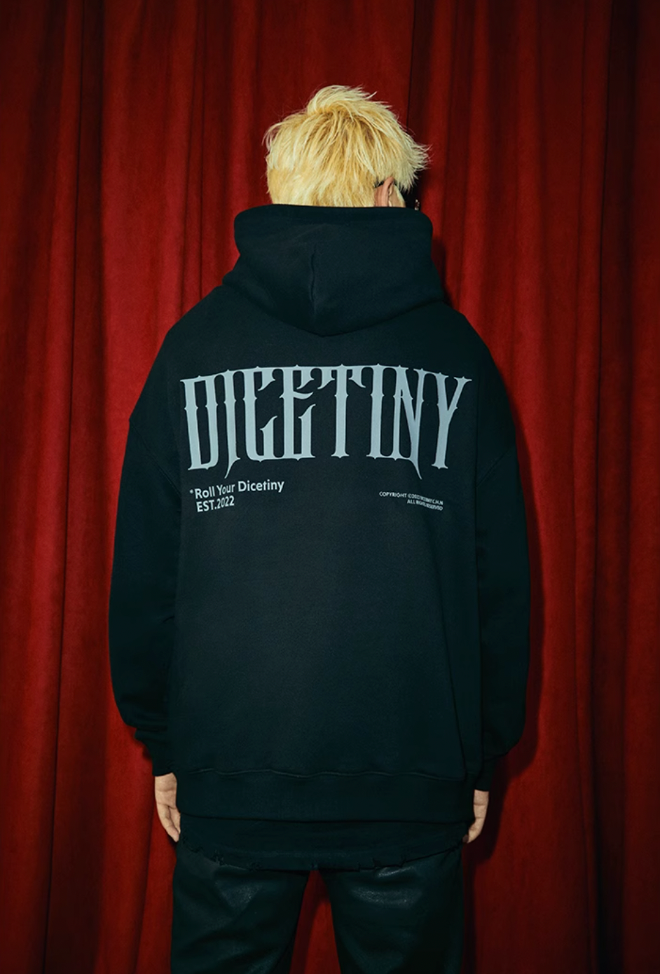 DICETINY Basic Back Logo Print Hoodie