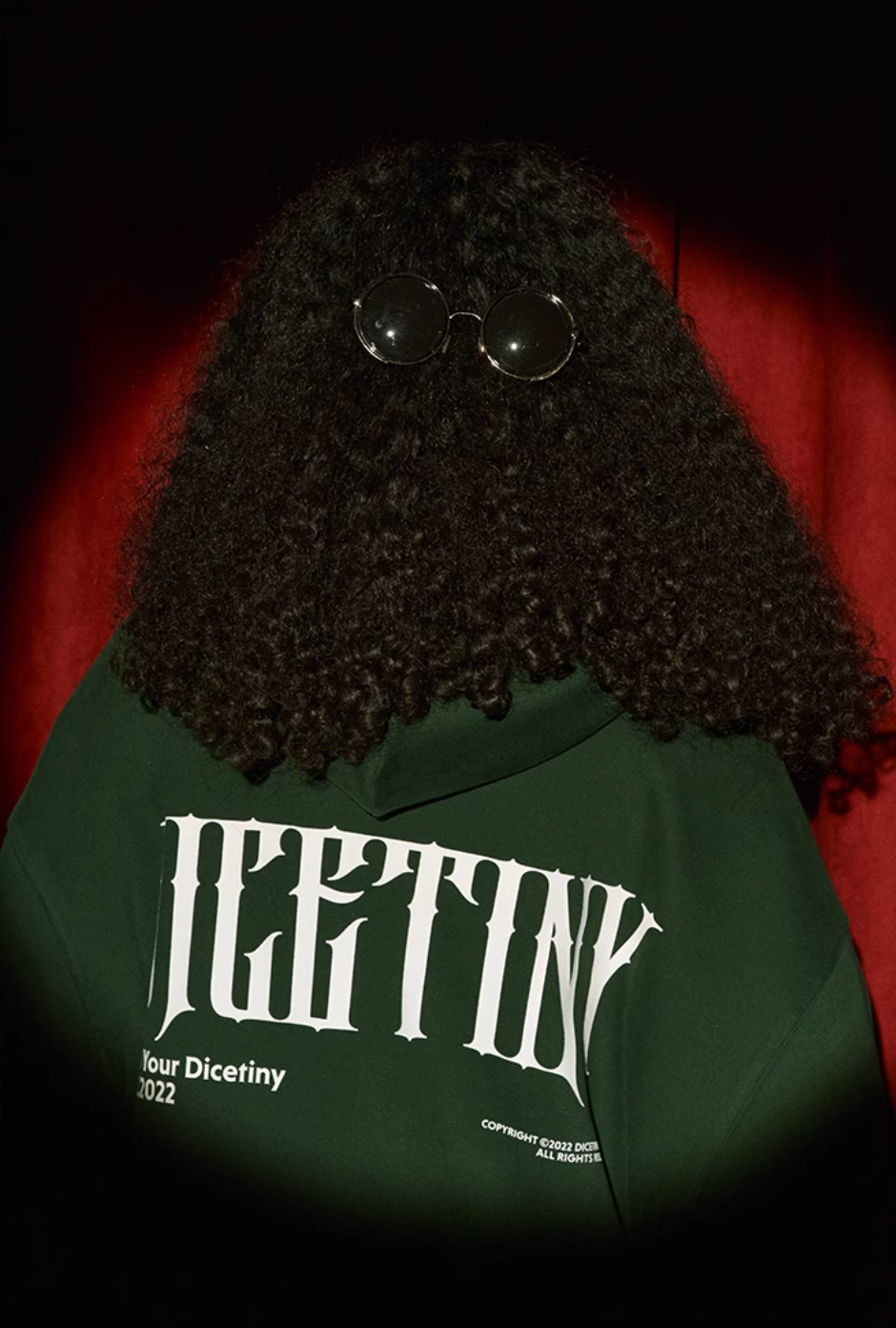 DICETINY Basic Back Logo Print Hoodie