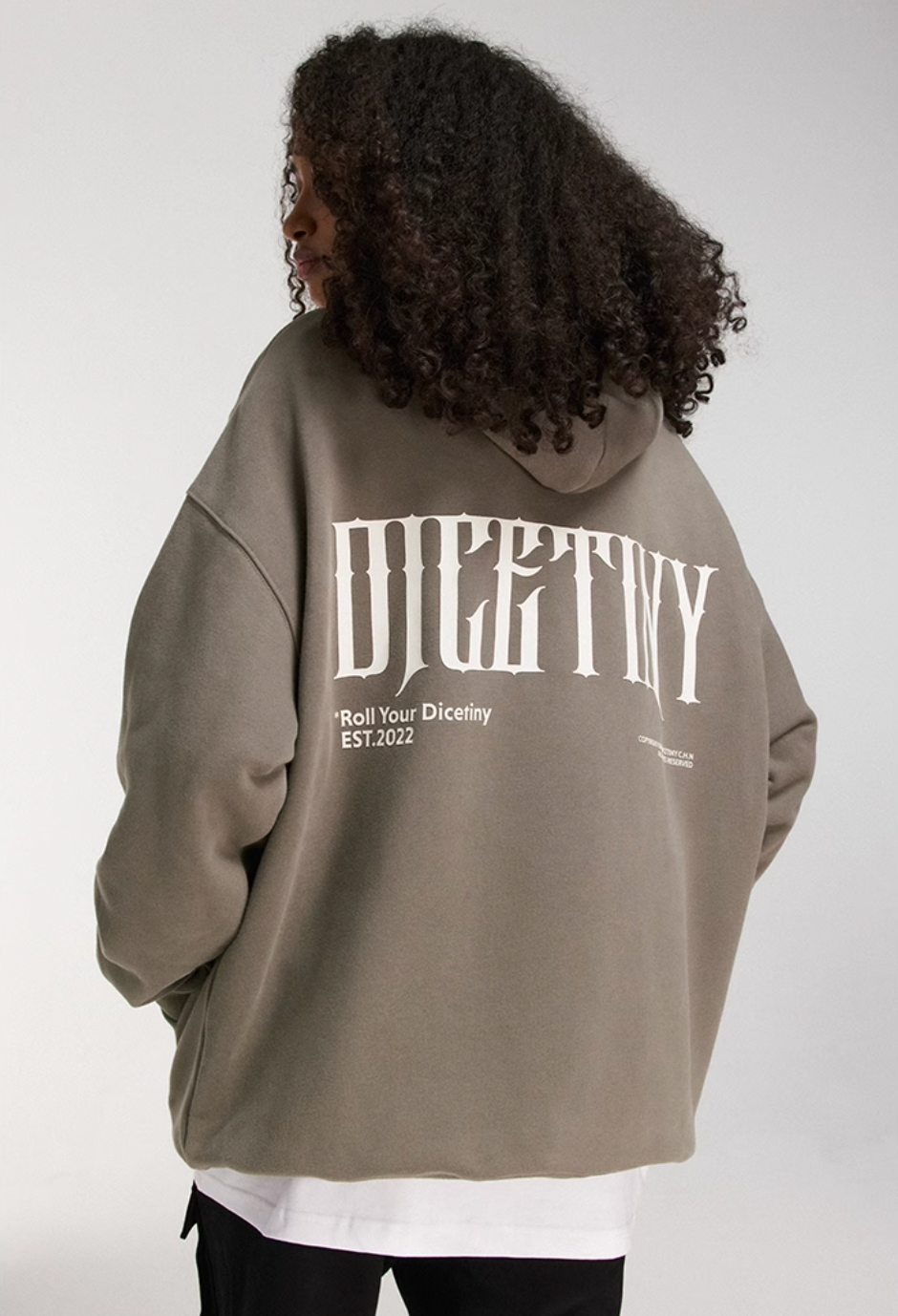 DICETINY Basic Back Logo Print Hoodie