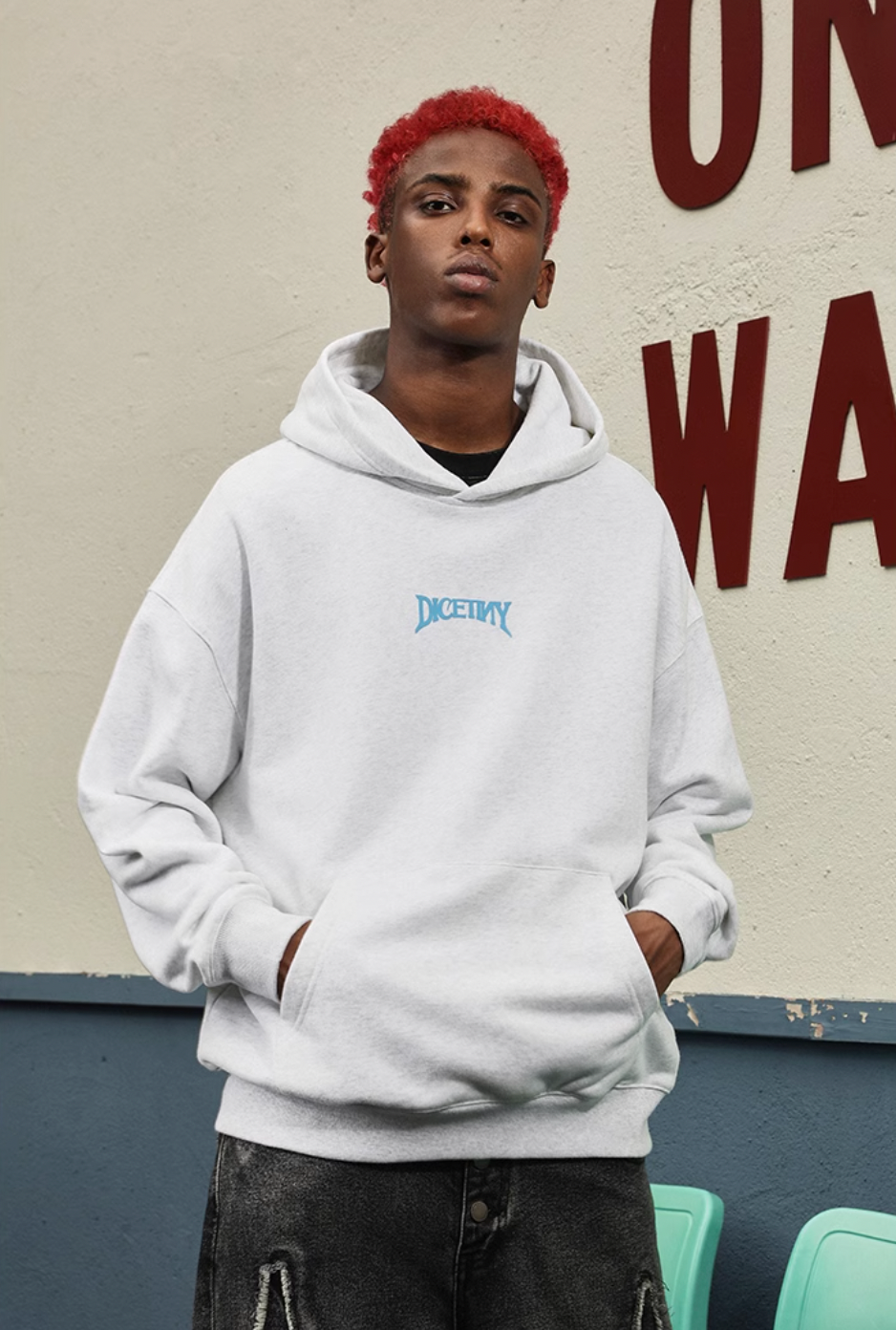 DICETINY Basic Logo Printed Hoodie