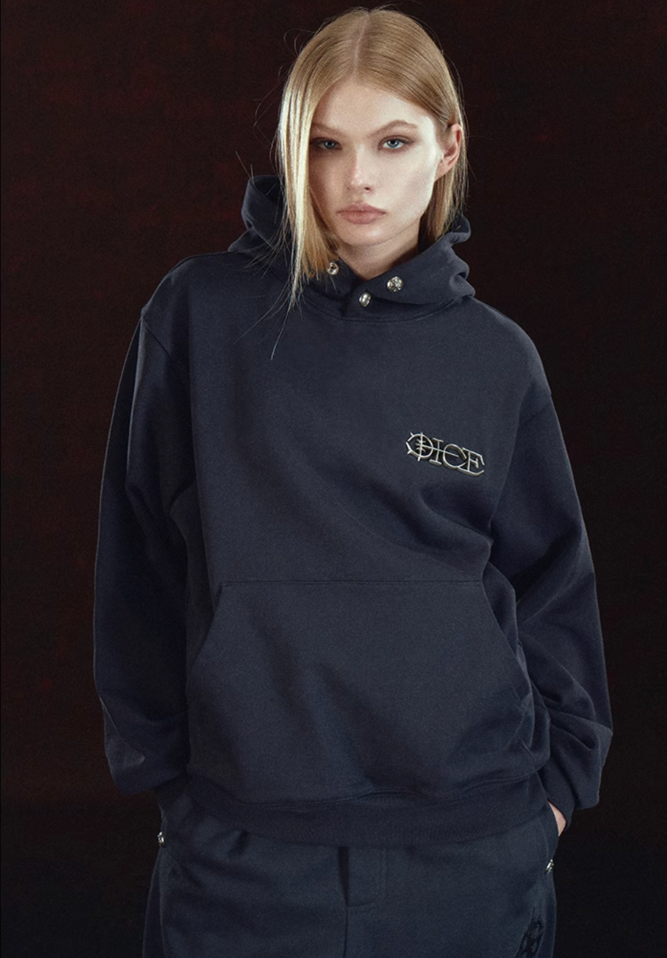 DICETINY Metal Logo & Button Hoodie