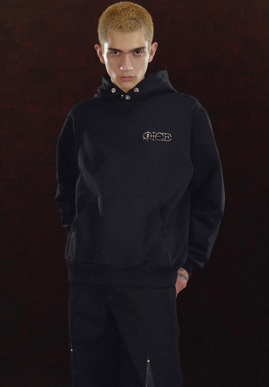 DICETINY Metal Logo & Button Hoodie