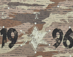 STEEPC Aged Desert Camo Pearl Embellished Print Tee