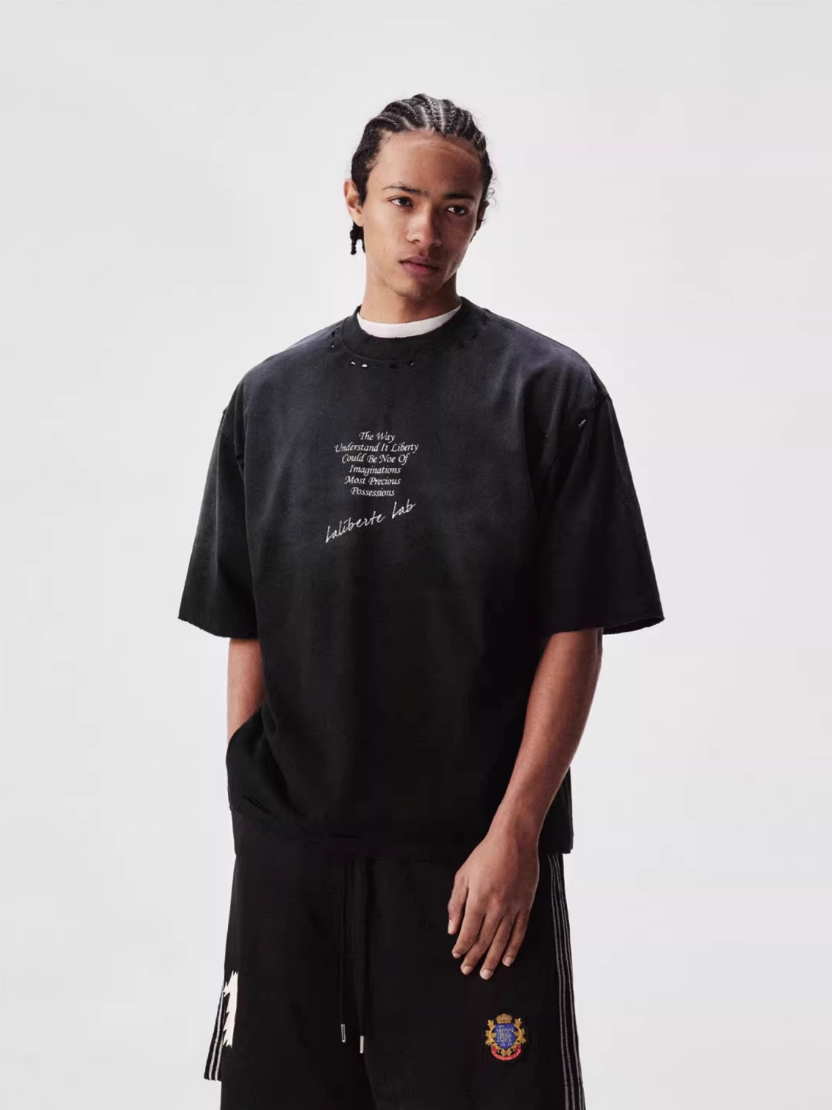 Labt Distressed Holes Dirty Print Tee