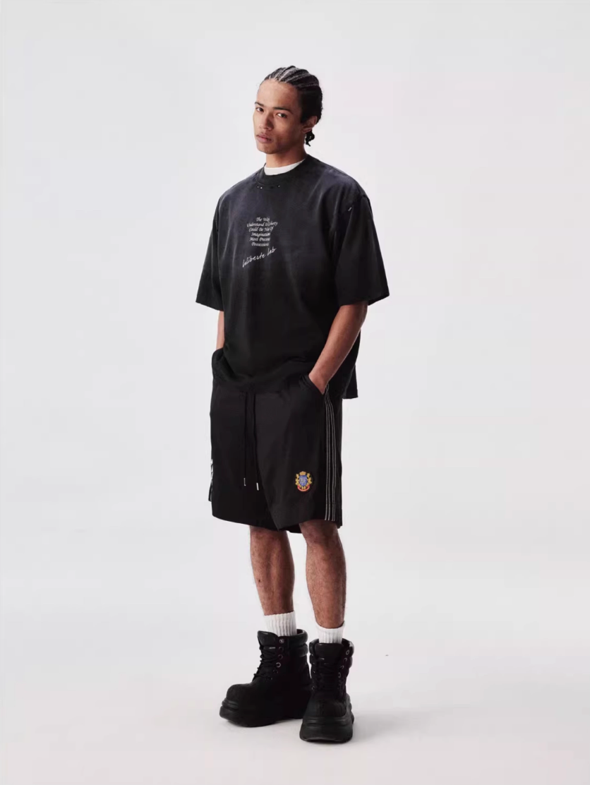 Labt Distressed Holes Dirty Print Tee