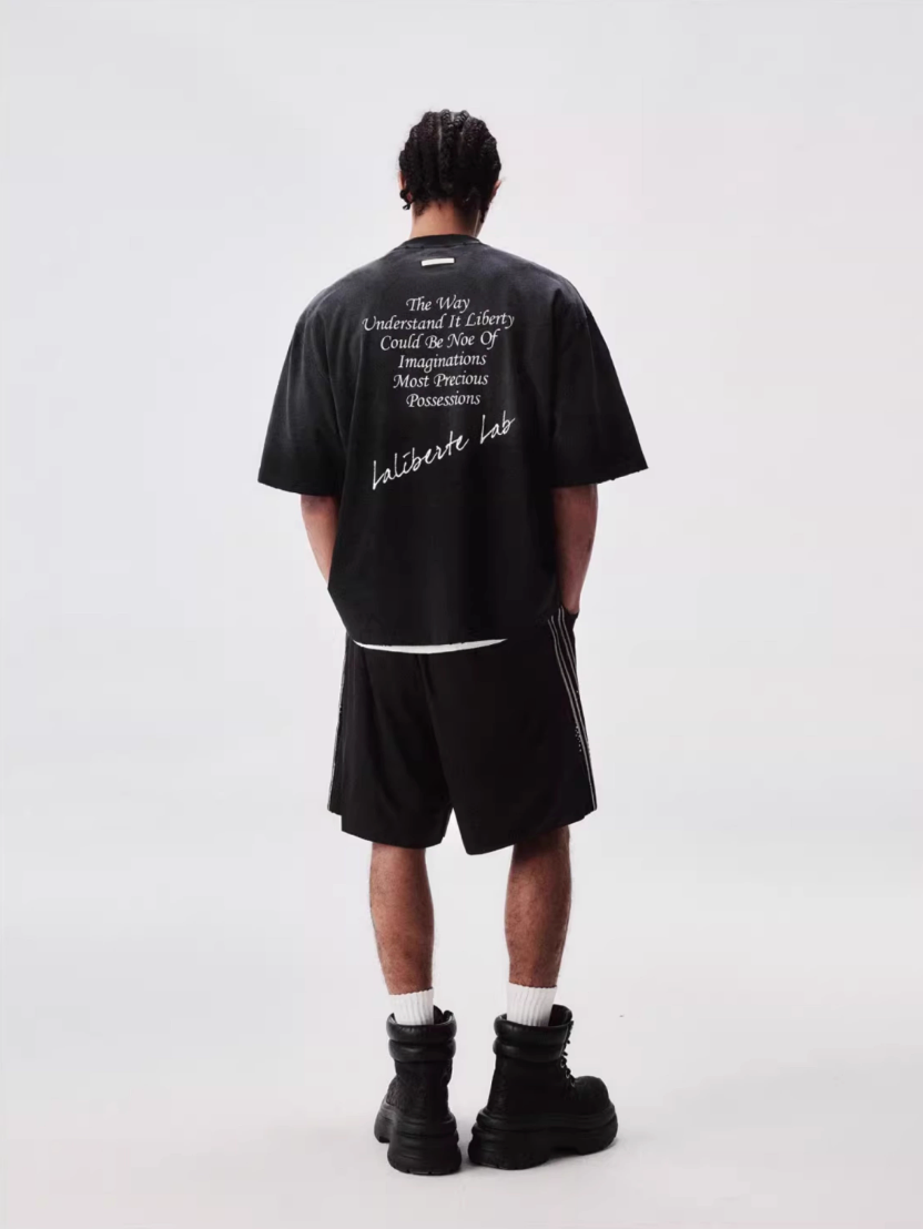 Labt Distressed Holes Dirty Print Tee