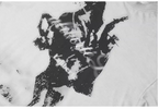 Labt Western Cowboy Print Long Sleeve Tee