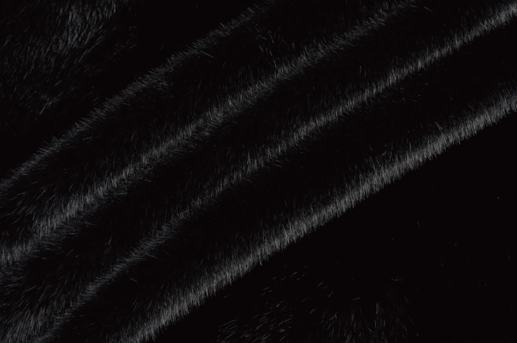 Labt Faux Fur Hood Jacket