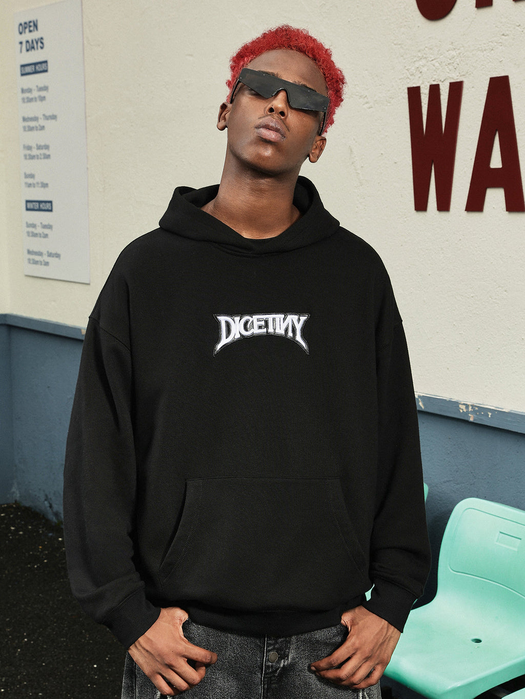 DICETINY 3D Basic Logo Embroidery Hoodie