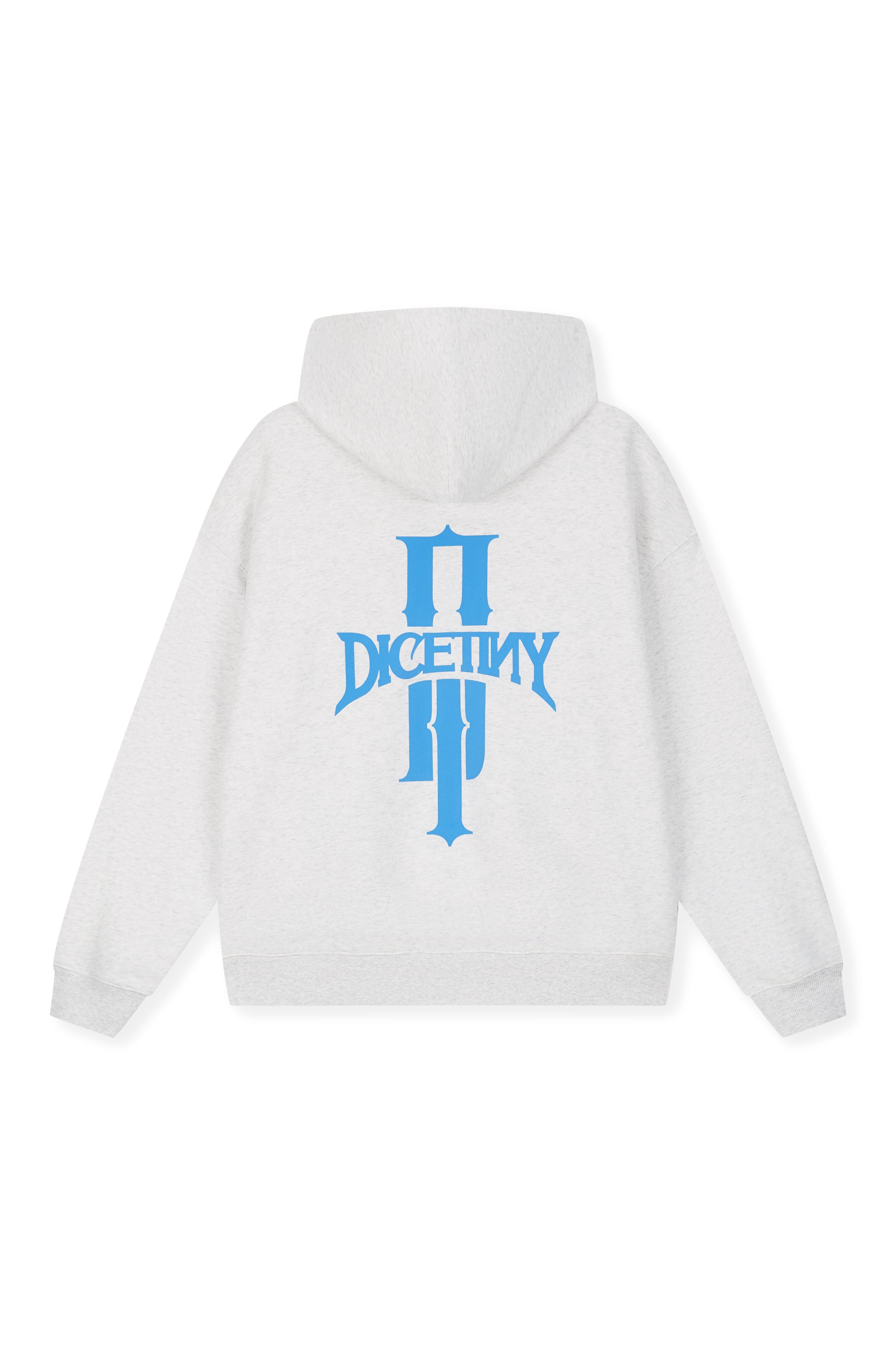 DICETINY Basic Logo Printed Hoodie
