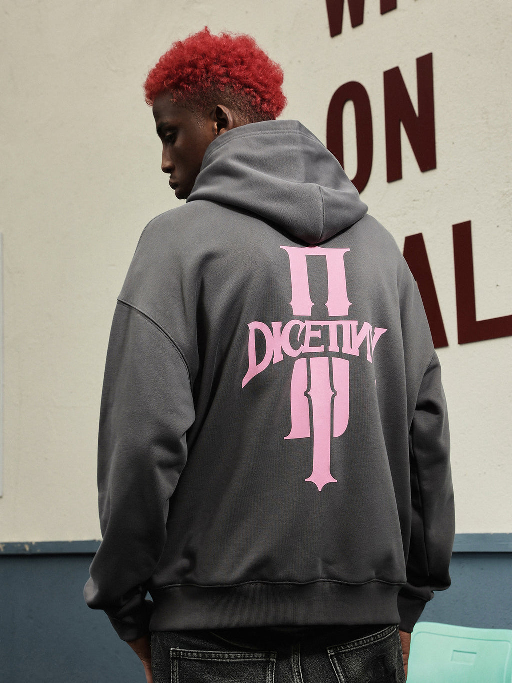 DICETINY Basic Logo Printed Hoodie