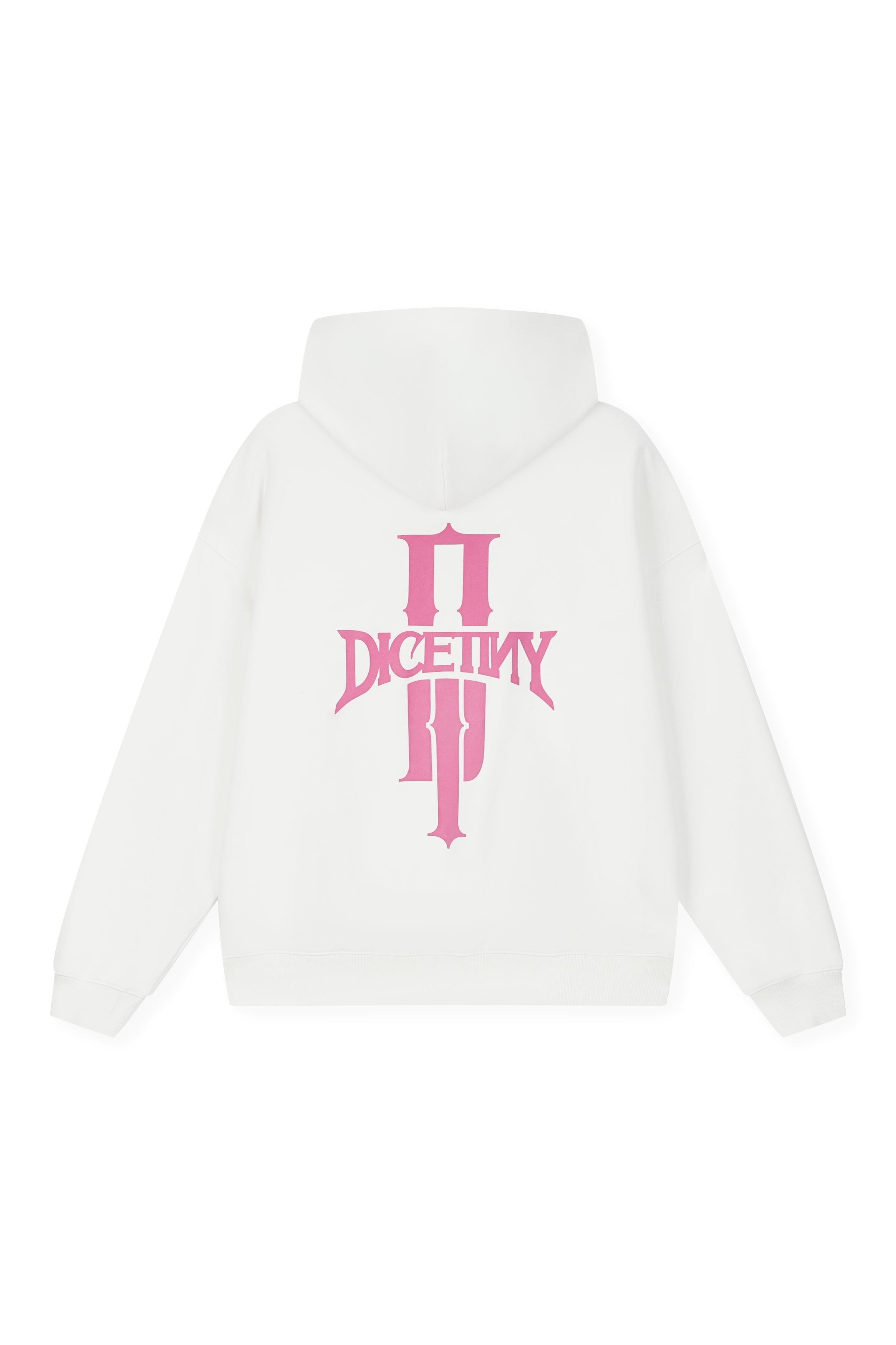 DICETINY Basic Logo Printed Hoodie