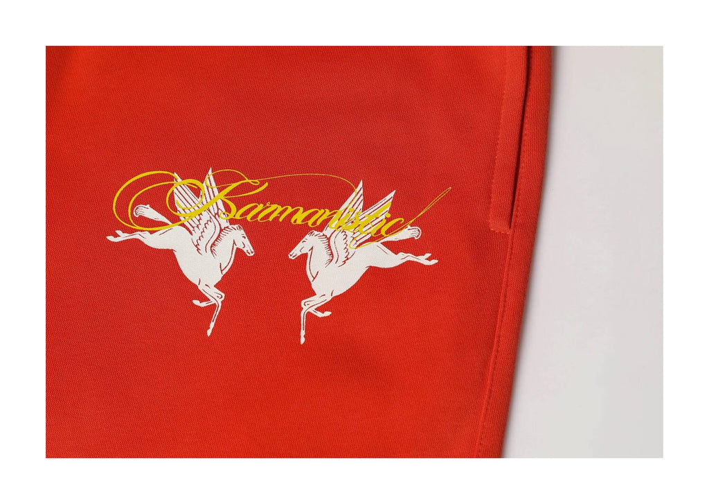 KARMANISTIC Foam Print Pegasus Baggy Sweatpants