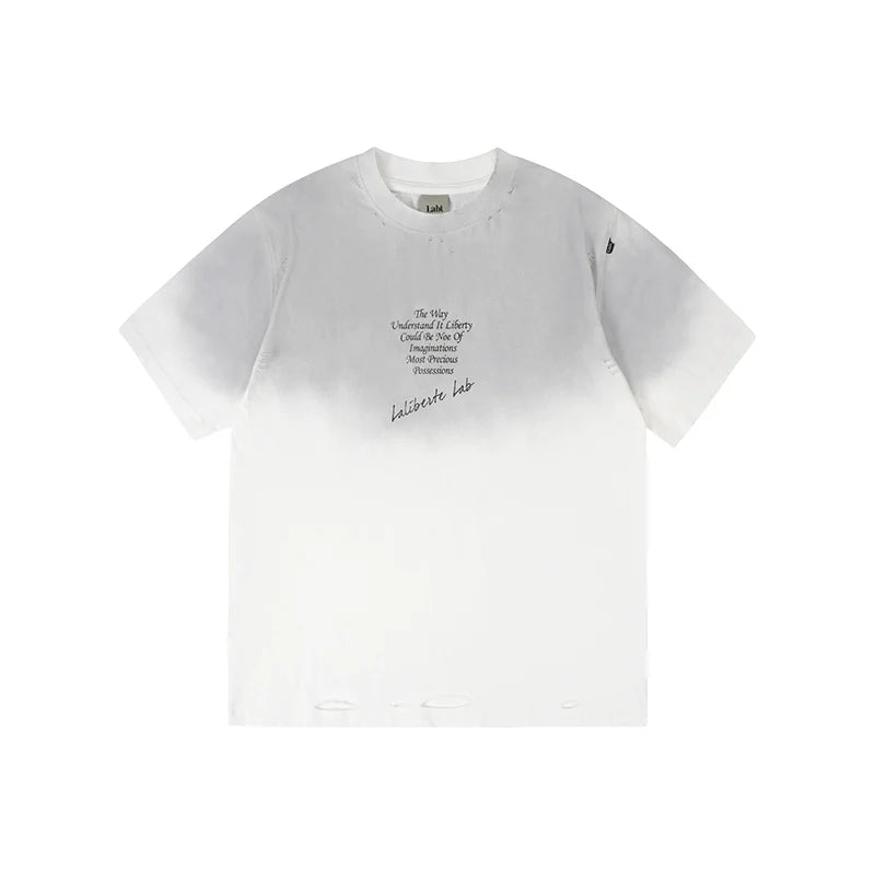 Labt Distressed Holes Dirty Print Tee