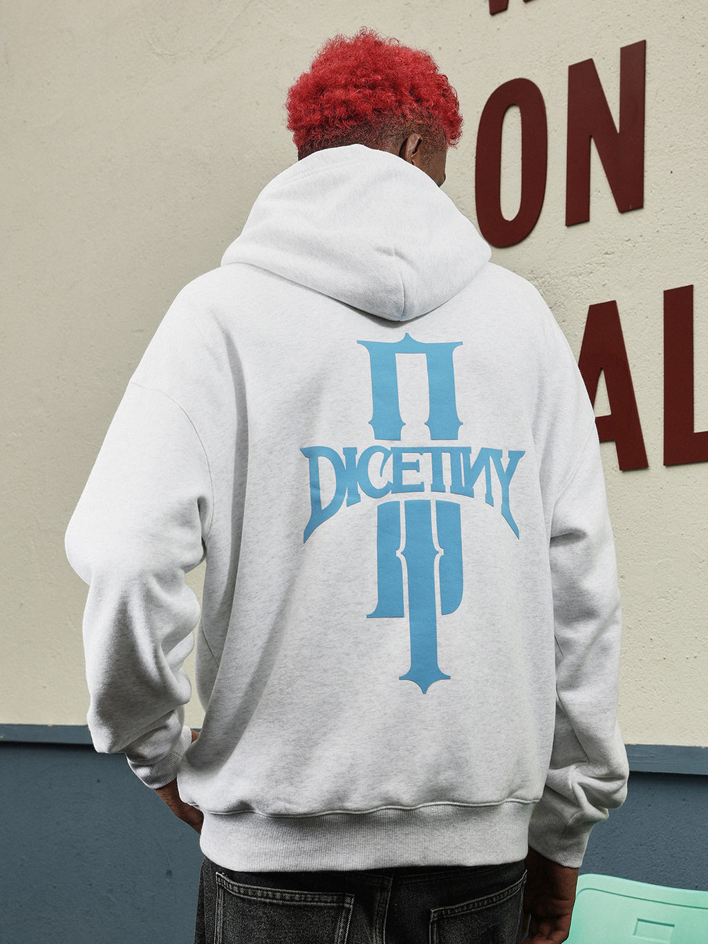 DICETINY Basic Logo Printed Hoodie